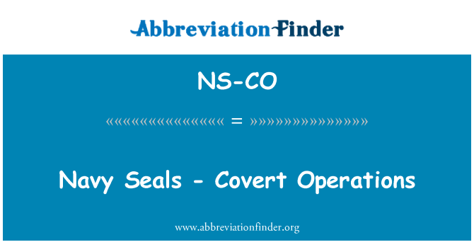 NS-CO: Navy Seals - Covert Operations