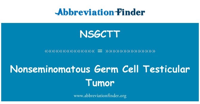 NSGCTT: Nonseminomatous تومور سلول نطفه بیضه