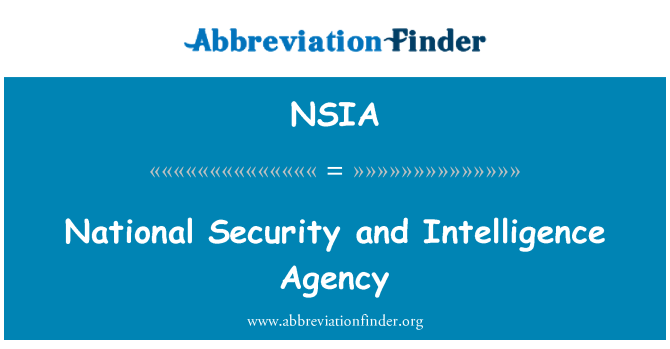 NSIA: סוכנות המודיעין וביטחון לאומי
