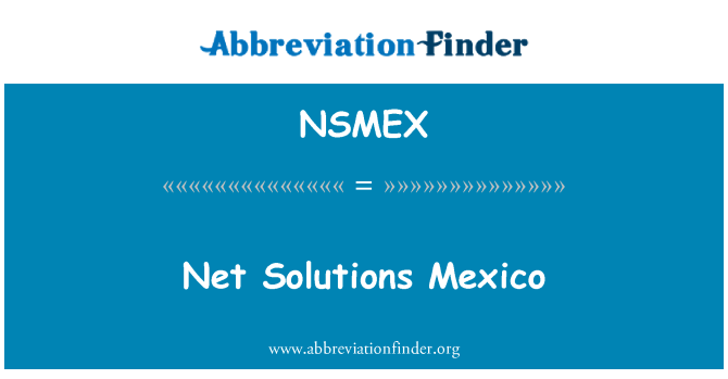 NSMEX: Net ソリューション メキシコ