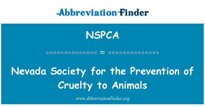 NSPCA: Nevada družbe za preprečevanje krutosti do živali