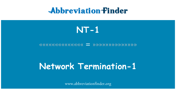 NT-1: 네트워크 종료-1