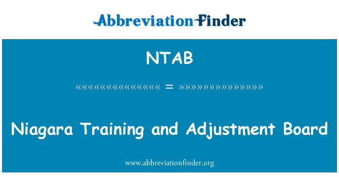 NTAB: नियाग्रा प्रशिक्षण और समायोजन बोर्ड