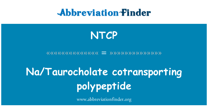 NTCP: Polipeptyd cotransporting na/Taurocholate