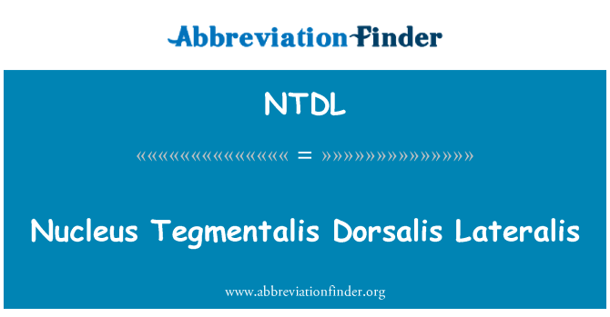 NTDL: Nucleus Tegmentalis Dorsalis Lateralis