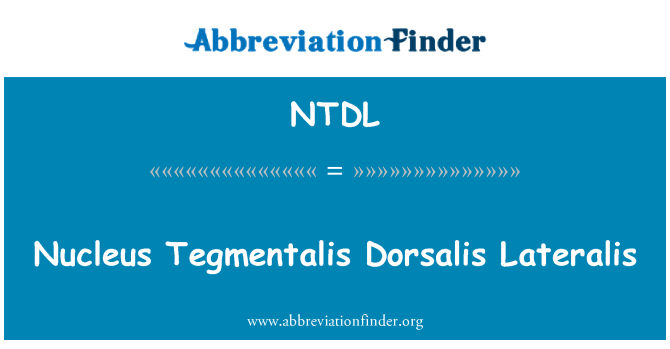 NTDL: Jądro Tegmentalis Dorsalis Lateralis