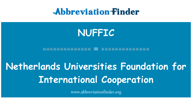 NUFFIC: Països Baixos universitats Fundació per a la cooperació internacional