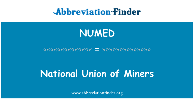 NUMED: L-Unjoni nazzjonali tal-ħaddiema fil-minjieri