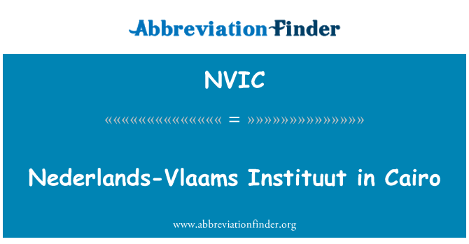 NVIC: قاہرہ میں ڈچ-ولاامس انسٹاٹووت