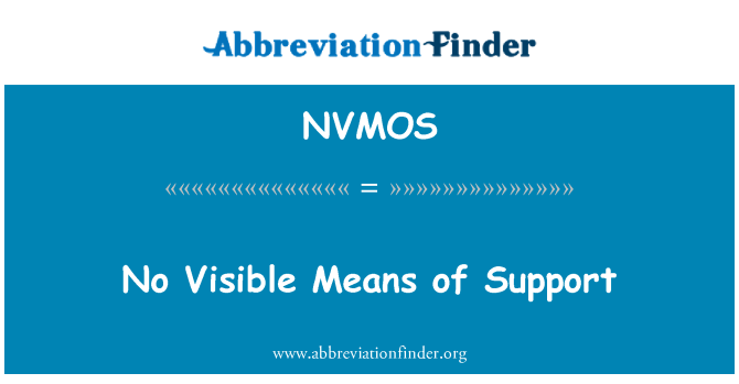 NVMOS: No Visible Means of Support