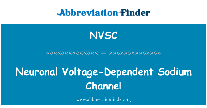 NVSC: 神经元电压依赖性钠通道