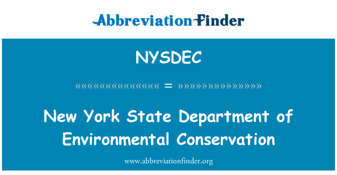 NYSDEC: New York State Department of Environmental Conservation