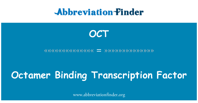 OCT: Factor de transcripció Octamer vinculant