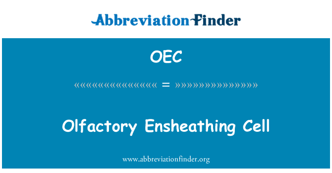OEC: Komórki węchowe Ensheathing