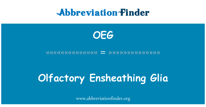 OEG: 후 각 Ensheathing 명과