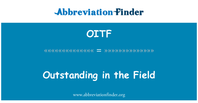 OITF: מצטיינים בתחום