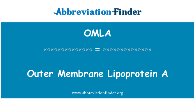 OMLA: Zunanjo membrano Lipoprotein A