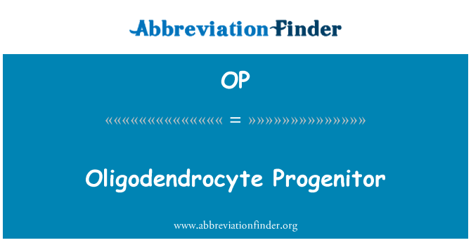 OP: Oligodendrocyte Progenitor