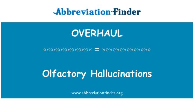 OVERHAUL: Borne Hallucinations