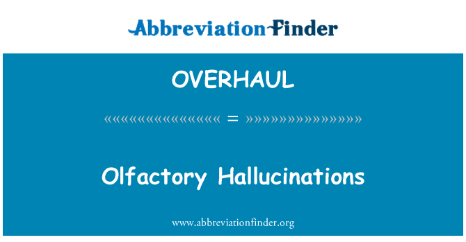 OVERHAUL: Обонятельные галлюцинации