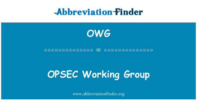 OWG: 可靠工作小組