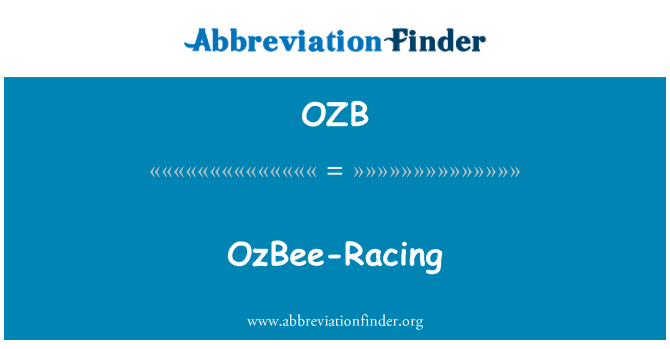 OZB: OzBee 賽車