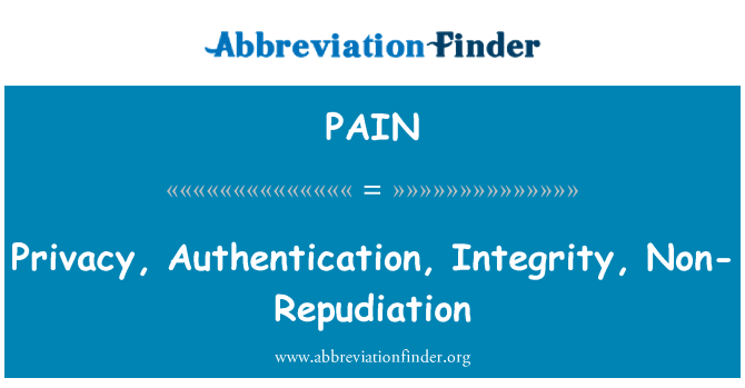 PAIN: 隐私、 身份验证、 完整性、 不可否认性
