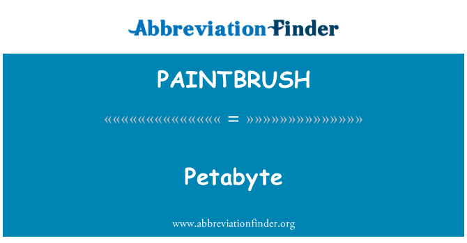 PAINTBRUSH: Petabyte