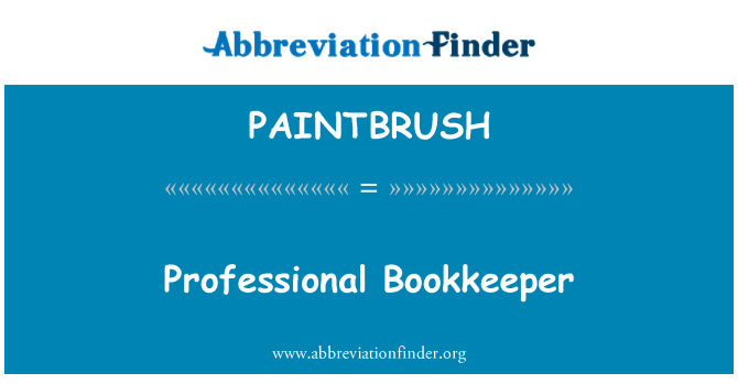 PAINTBRUSH: Професионален счетоводител