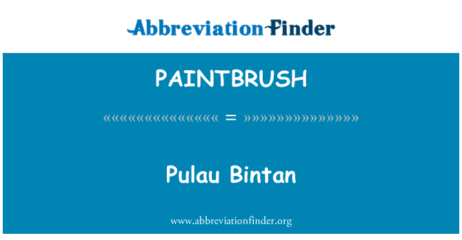PAINTBRUSH: Pulau Bintan
