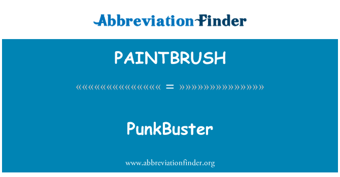 PAINTBRUSH: PunkBuster