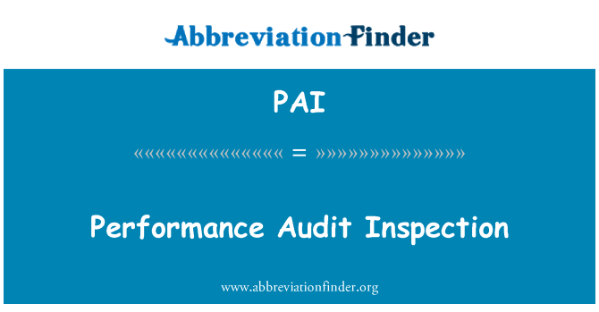 PAI: Ispezione Audit delle prestazioni