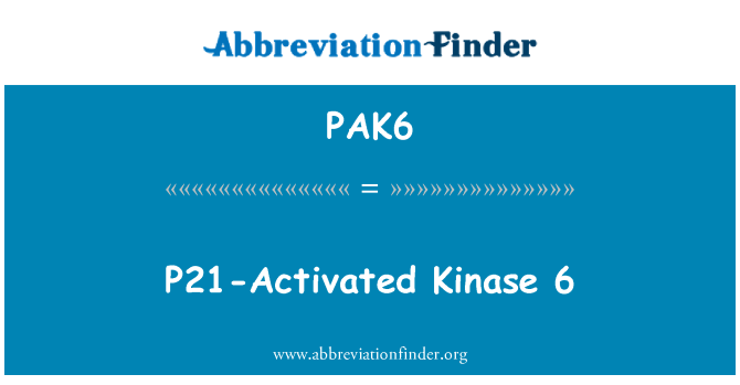 PAK6: P21-actif Kinase 6