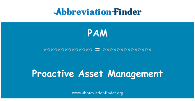PAM: Προληπτική Asset Management