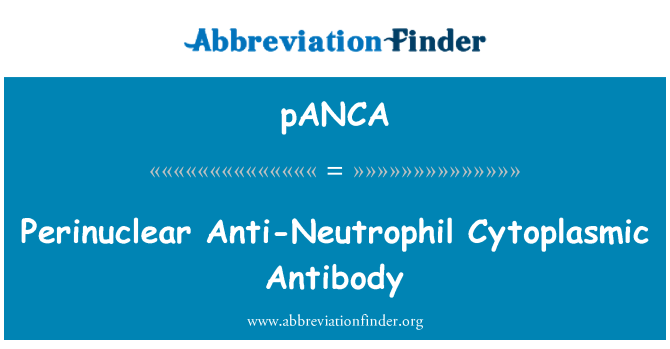 pANCA: Perinuclear anti-neitrofilo citoplazmas antivielas