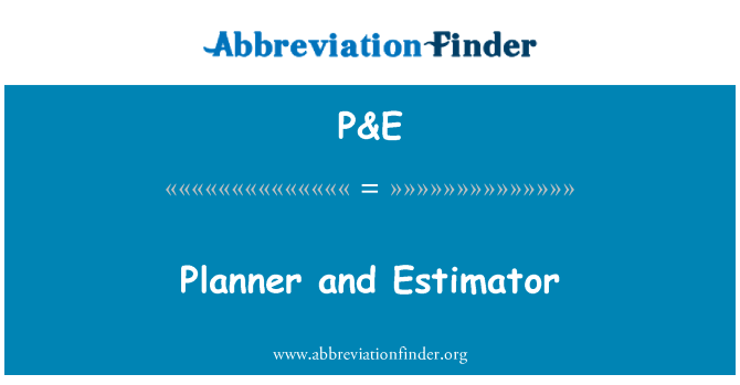 P&E: プランナーと推定