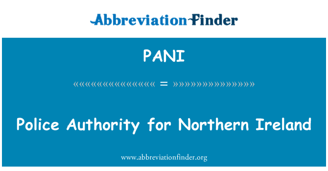 PANI: Polizeibehörde für Nordirland