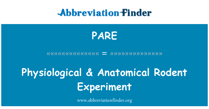 PARE: Esperimento di roditore fisiologico & anatomica
