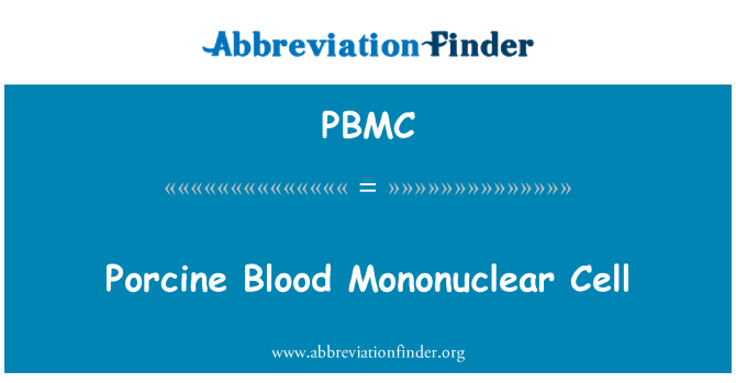 PBMC: Porcine Blood Mononuclear Cell