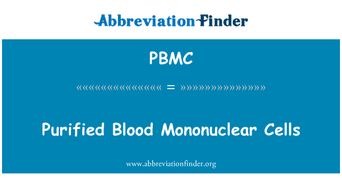 PBMC: Purified Blood Mononuclear Cells