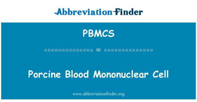 PBMCS: خلية الدم الخنزيري وحيدات النوى