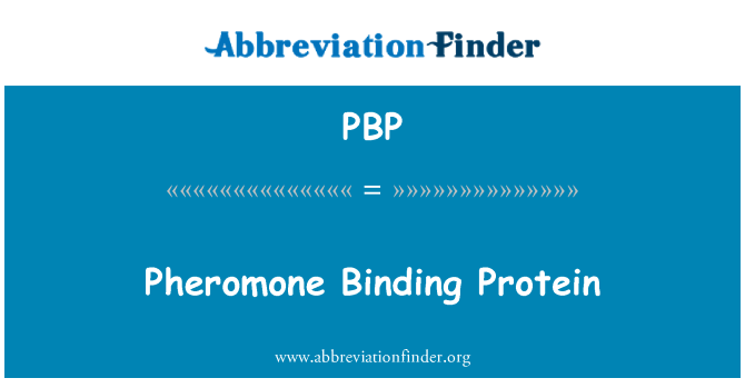 PBP: Proteina rabta-feromoni