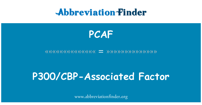 PCAF: P300/CBP 相关因子