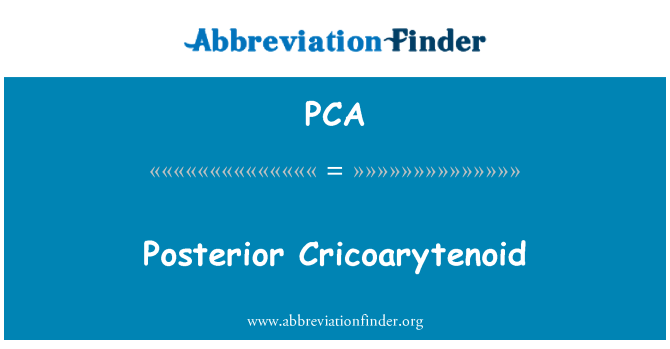 PCA: Posterior Cricoarytenoid