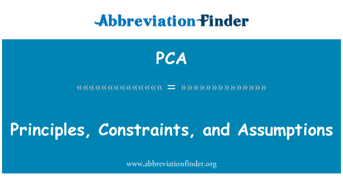 PCA: עקרונות, אילוצים וכל ההנחות