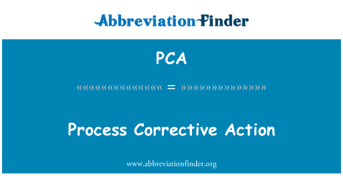 PCA: Proceso administracin