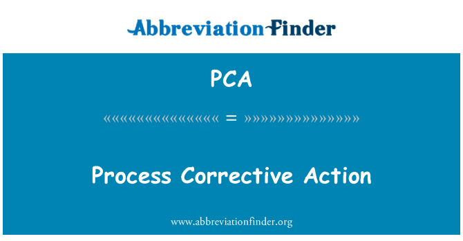 PCA: กระบวนการแก้ไขปัญหา