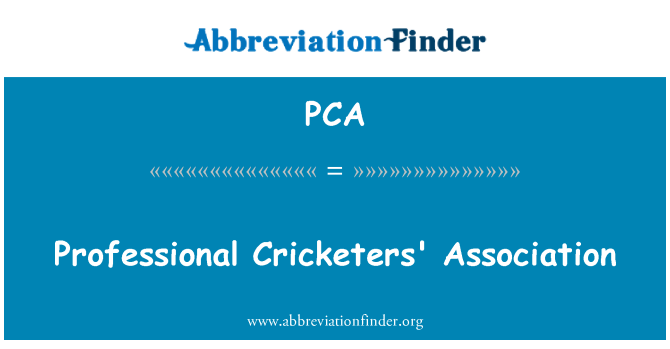 PCA: Cymdeithas cricedwyr proffesiynol