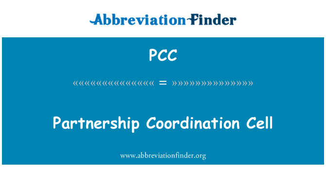 PCC: Partnership Coordination Cell