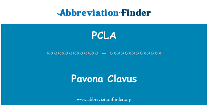 PCLA: Pavona Clavus